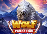 Caucasian Wolf